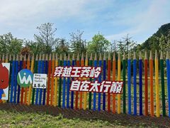 -王莽岭风景区