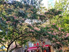 -九龙餐厅(大沽路店)