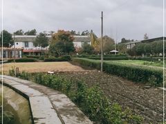 -洪湖家庭农场·团建·露营·会议