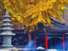 -长安寺