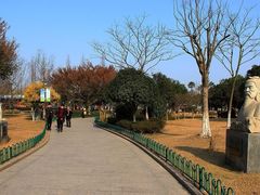-河泥荡文化公园
