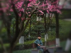 -重庆市江北嘴中央商务区中央公园