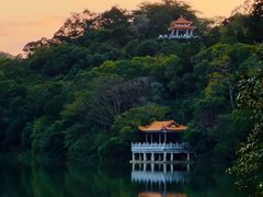 -深圳仙湖植物园