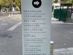 -三里屯东五街银杏大道