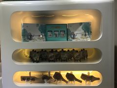 -好一朵茉莉花(老门东店)