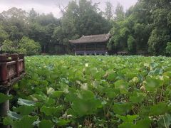 -房湖公园