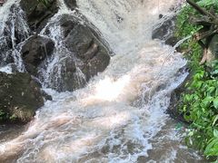 -莫里热带雨林景区