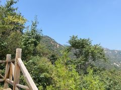 -大岭沟猕猴桃谷风景区