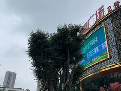 -食草堂(财富广场店)