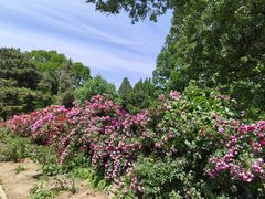 -国家植物园南园