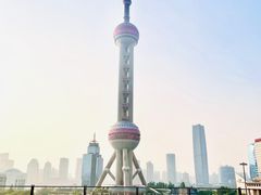 -苏浙总会(国金中心店)