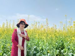 -光明小镇欢乐田园