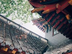 -四川大学(华西校区)