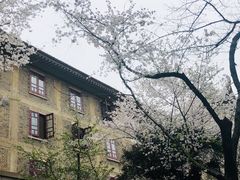 -武汉大学-樱园