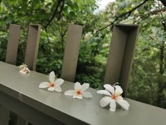 -福道