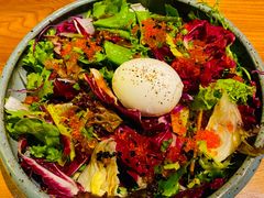 -Hatsune隐泉日式料理(三里屯太古里店)