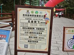 -西双版纳原始森林公园