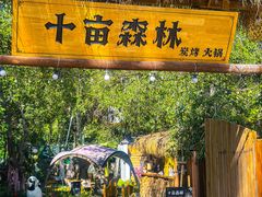 -十亩森林