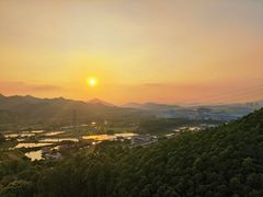 -美的鹭湖森林度假区
