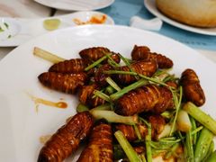 -南山鲜虾面·活鲜小馆·海味大连菜(南山总店)