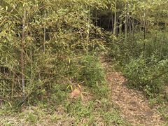 -阳澄湖半岛旅游度假区
