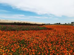-江苏三台山国家森林公园