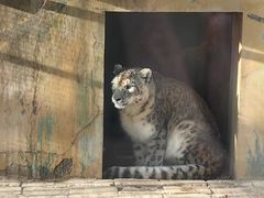 -青藏高原野生动物园