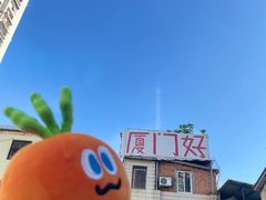 -溪岸路花鸟市场