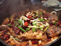老板恋上鱼-老板恋上鱼(高新万达店)