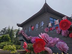 -曹州牡丹园