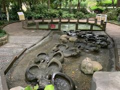 -成都市活水公园