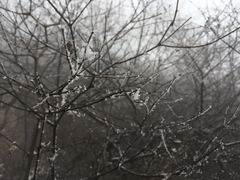 -狼牙山风景区