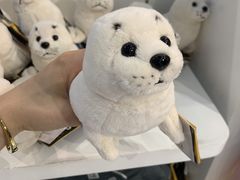 -上海海昌海洋公园