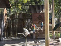 -石家庄市动物园