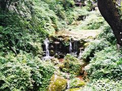 -青城山