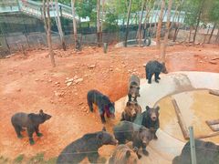 -泉州海丝野生动物世界