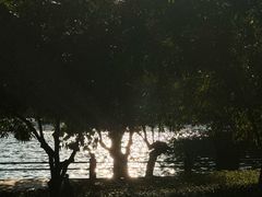 -荔湾湖公园