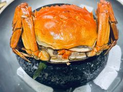 -食悦江南·淮扬菜·烤鸭(亚运村·惠新店)