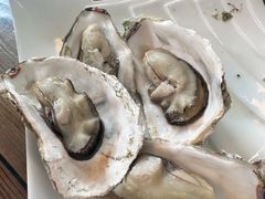 -鲁前海沿儿