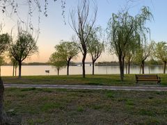 -武清南湖绿博园