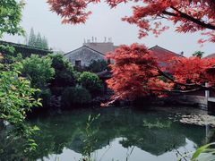 -艺圃