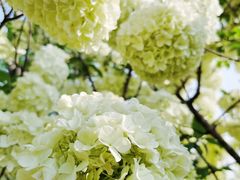 -大龙山(地铁站)