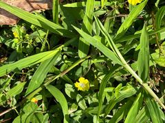 -怡海公园(桂城街道)