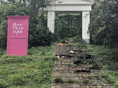 -方山风景区定林寺