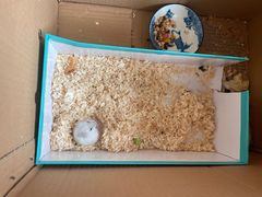 -花鸟鱼虫鲜花绿植市场(玉泉路店)