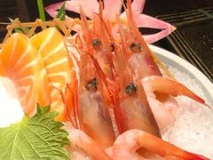 -山葵家·创意料理(EFC欧美广场店)