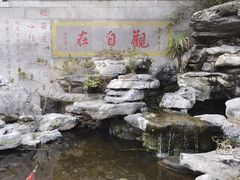 -仙岳公园