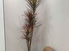 -W·24H茶楼·棋牌·掼蛋(望京店)