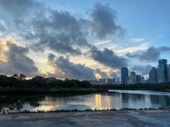-万绿园