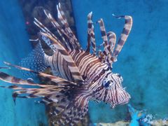 -常州海昌海洋探索馆